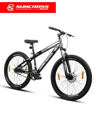 suncross strance single speed bicycle